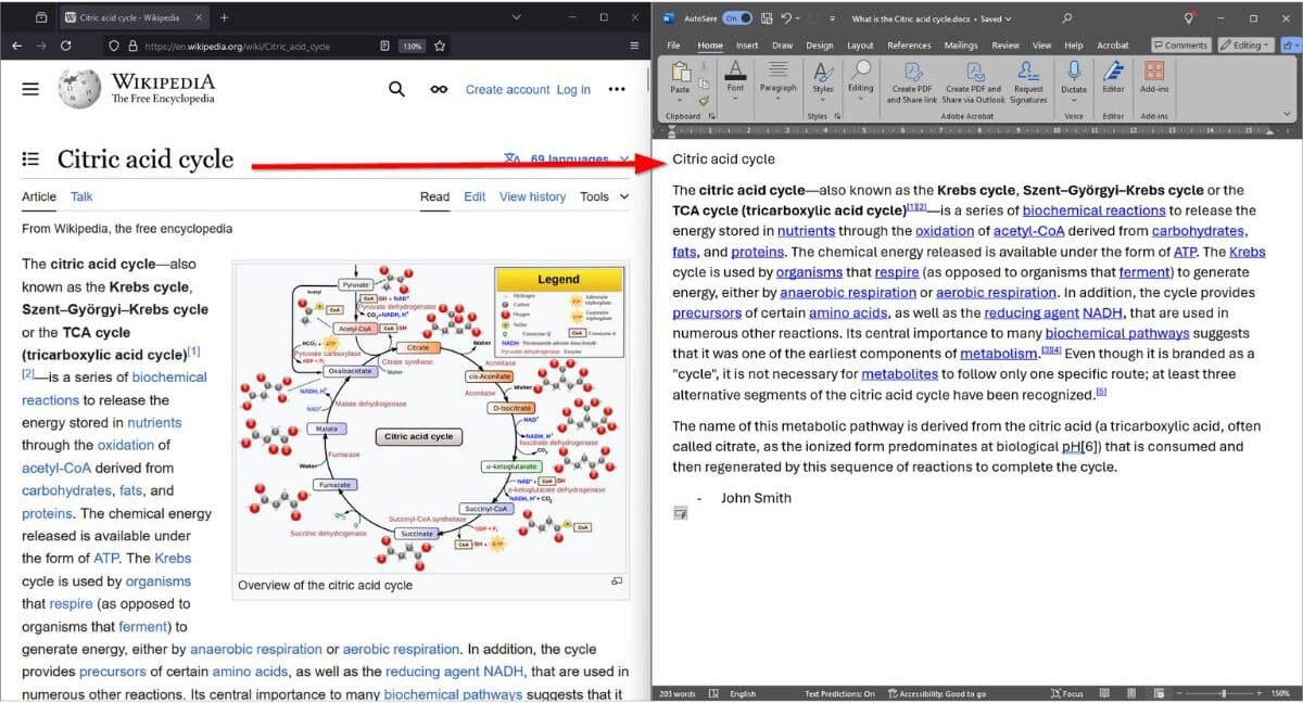 Paraphraser ou plagier : Quelle est la différence ? 4 Plagiat complet