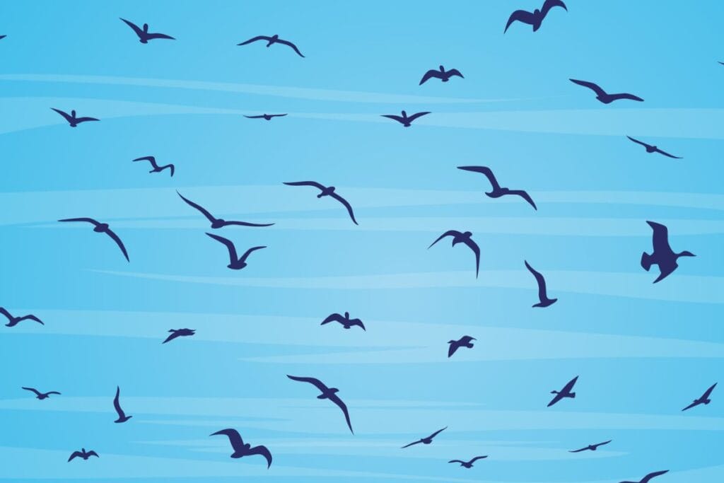 Silueta pájaro volando fondo