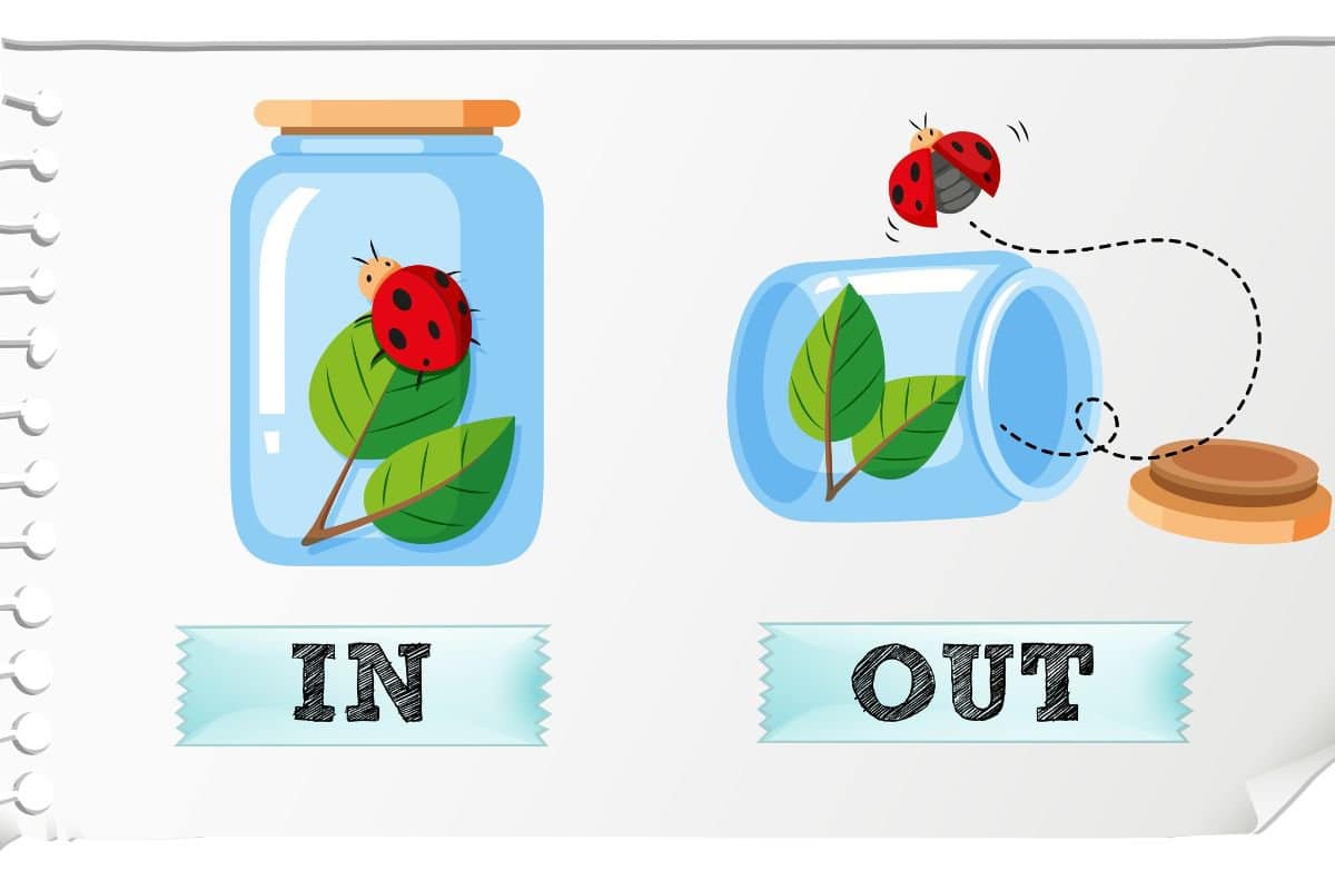 Imagen ilustrada que muestra una jarra con objetos que demuestran "dentro" y "fuera" como ejemplos de preposiciones.