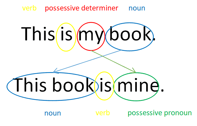 What Are Possessive Determiners? Grammar Guide + Examples possessive determiners