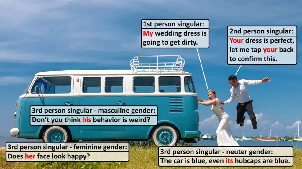 What Are Possessive Determiners? Grammar Guide + Examples possessive determiners