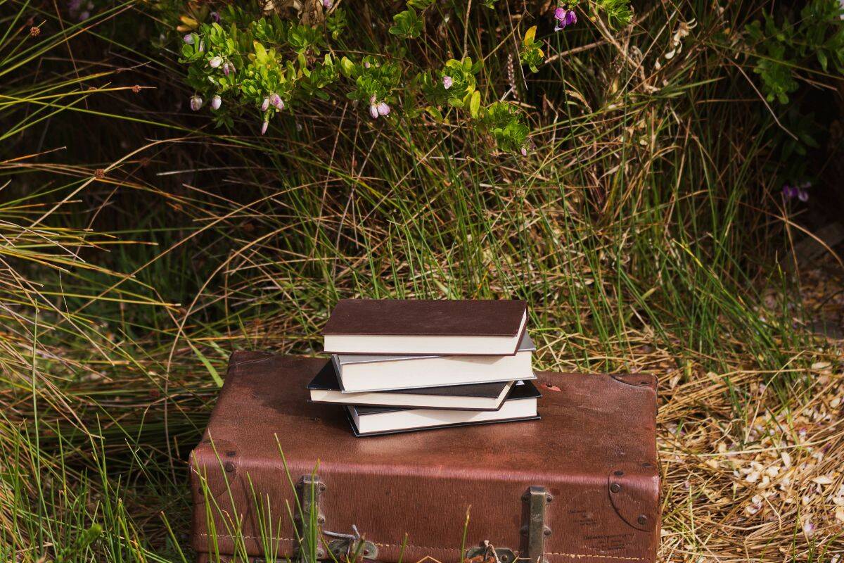 Maleta vintage con libros encima
