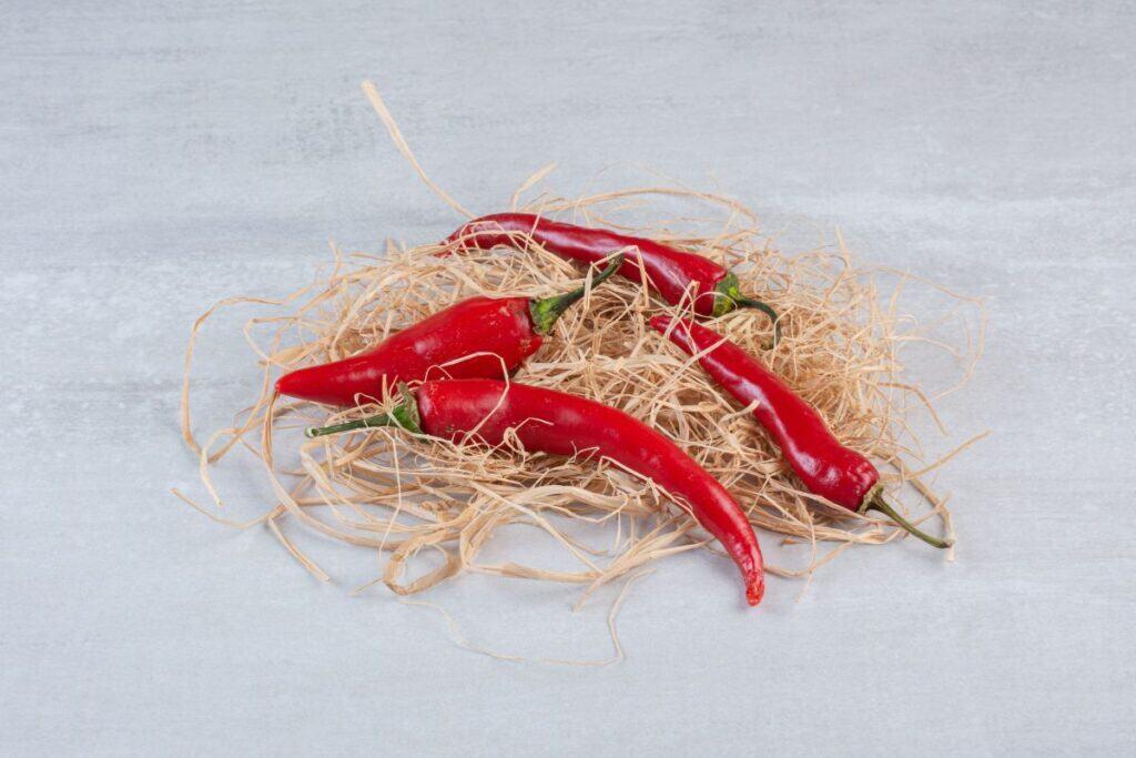Red chili peppers