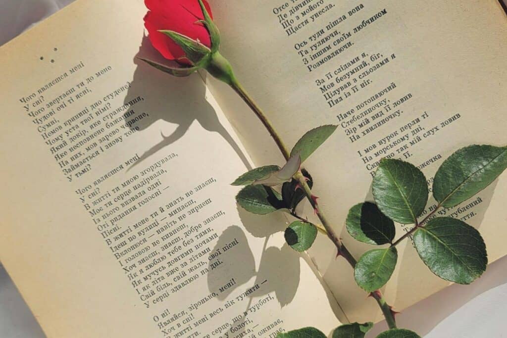 Romantic Poetry with a Red Rose on Open Book