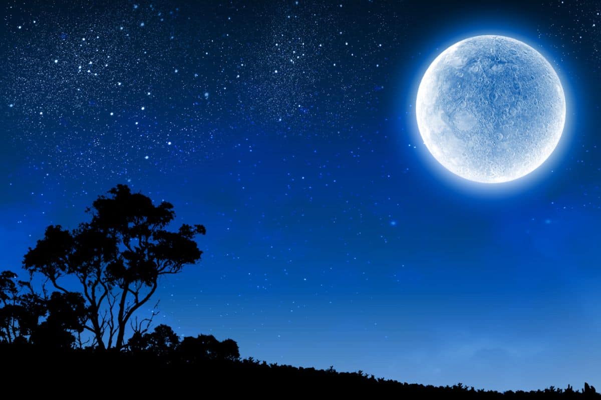 view of the moon