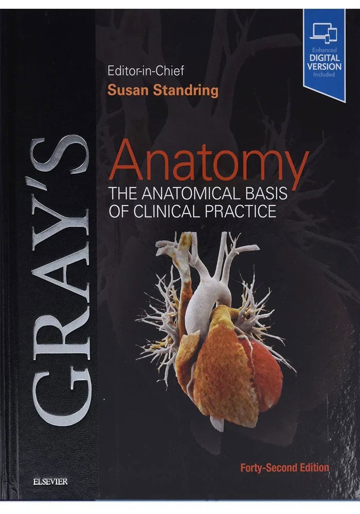Gray or Grey: Meaning, Usage & Tips gray or grey