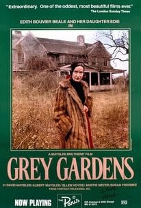 Gray or Grey: Meaning, Usage & Tips gray or grey