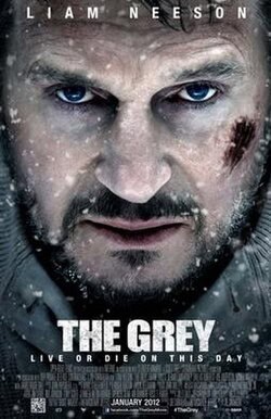 Gray or Grey: Meaning, Usage & Tips gray or grey