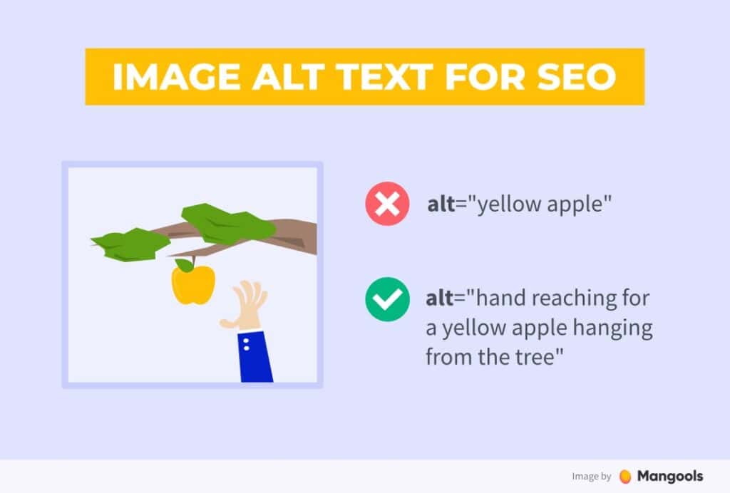 Organic Traffic with Video Transcripts: Complete Guide organic traffic with video transcripts