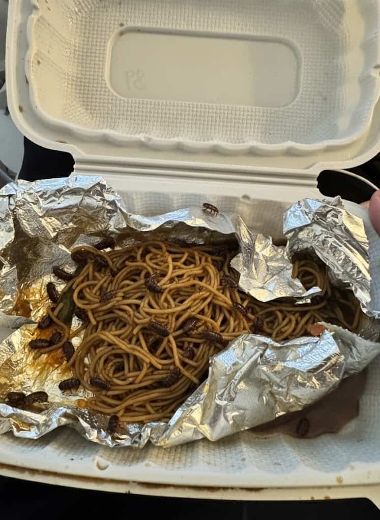 An AI-altered photo of the food takeout box with noodles and bugs inside the box